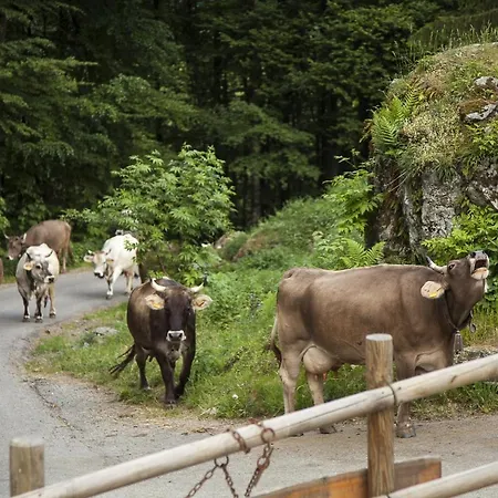 Agriturismo Alagna *
