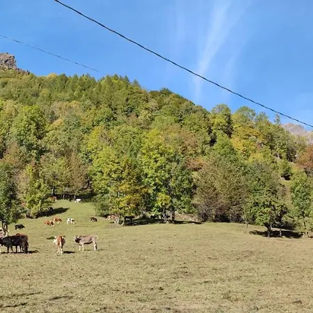 Farm stay Agriturismo Alagna Alagna Valsesia