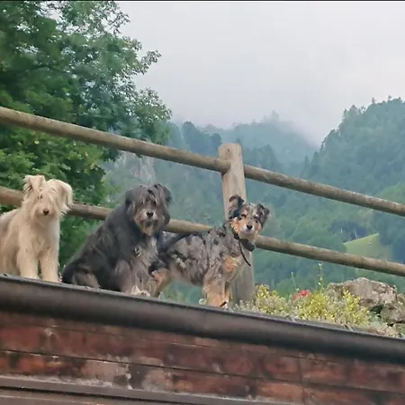 Agriturismo Alagna *