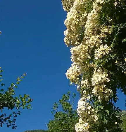 Agriturismo Alagna Farm stay Alagna Valsesia