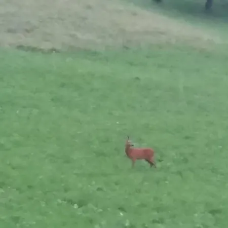 Agriturismo Alagna Farma