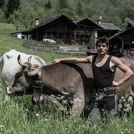 Agriturismo Alagna * アラーニャ・ヴァルセージア