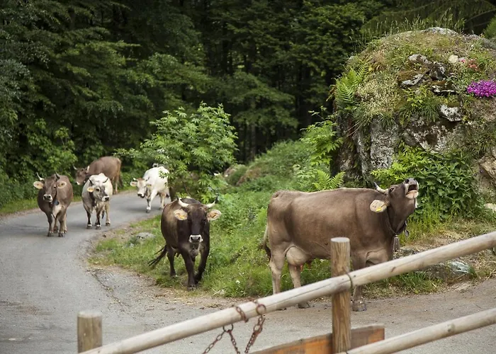 Agriturismo Alagna *
