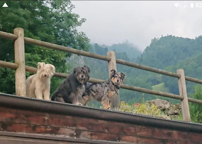 Agriturismo Alagna *